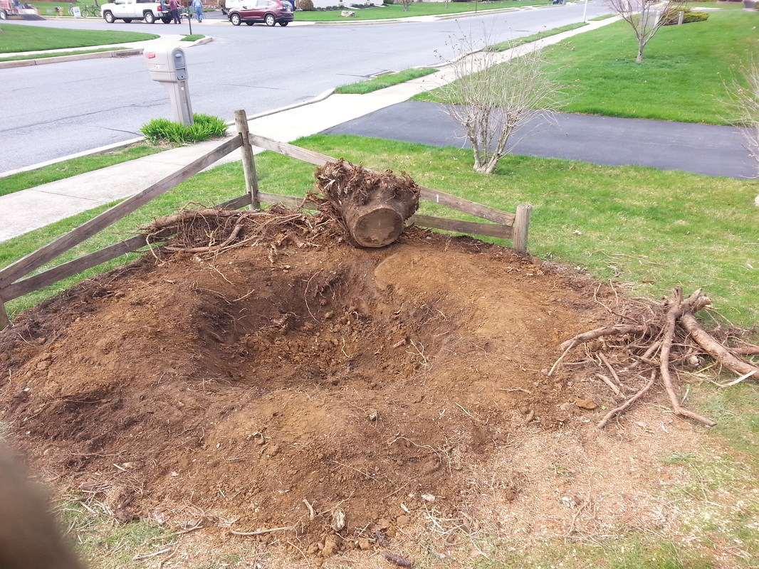 Beautiful landscaping by TJ Landscaping