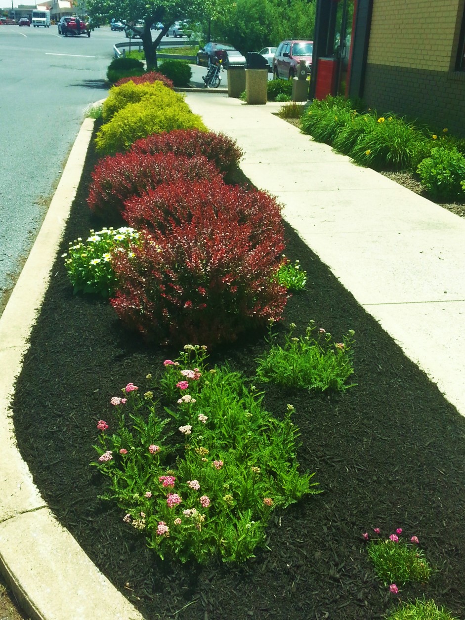 Maintenance Programs