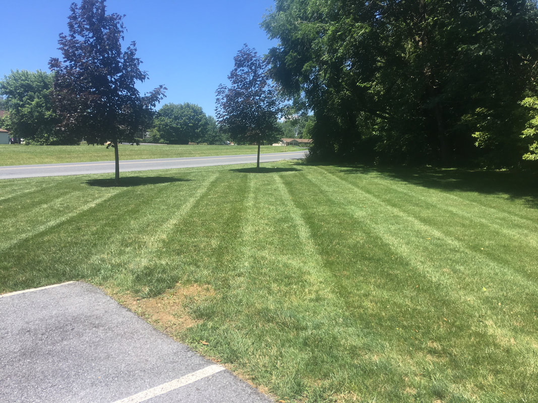 Garden bed installation